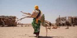 UN agencies ramp up assistance to tackle drought in Somalia
