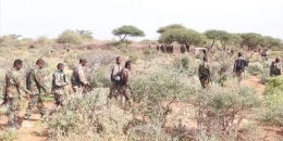 Somali army offensive in southern region kills 17 terrorists