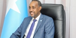 Somali PM sets up team to probe civilian massacre