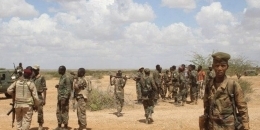 Somali army arrests Al-Shabab militants in southern region