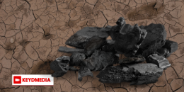 Demand for charcoal is fuelling desertification and drought in Somalia