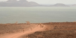 Horn of Africa faces the 5th failed rainy season and deadliest