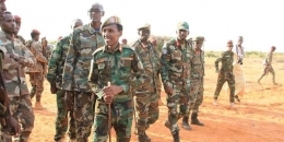 Somali military says seven militants killed in raids