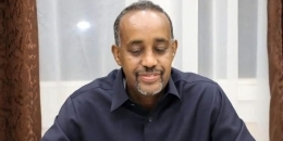 Somali PM holds e-meeting with regional leaders to evaluate election