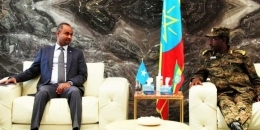 Somalia, Ethiopia discuss fight against Al-Shabaab