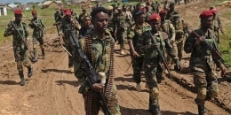 Somali army kills dozens of militants in fresh offensive