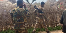 Somali troops retake fresh villages from Al-Shabaab