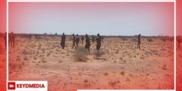 Somalia claims victory in the war against Al-Shabaab