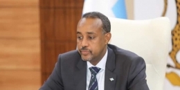 Somali PM sets to team to scrutinize election teams