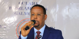 Somali Senator quits weeks after his re-election