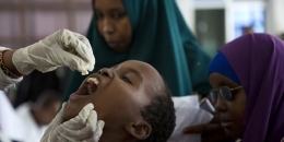 Somalia, UN roll out cholera vaccination drive