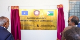 Somalia, Djibouti leaders inaugurate language academy