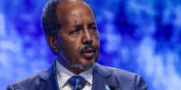 Somalia Warns Arms Embargo Undermines Fight Against Al-Shabaab
