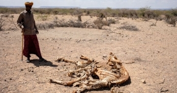 As rains fail again, catastrophic hunger looms over Somalia