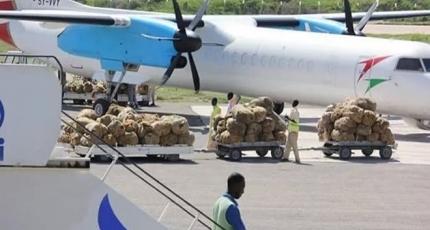 Kenya resumes miraa exports to Somalia After Two-Year Ban