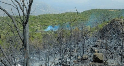 Massive Wildfire razes down Sanaag region’s mountains