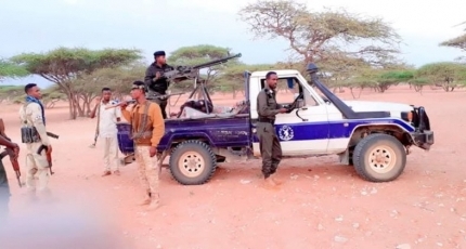 Dozens nabbed as police target Al-Shabaab sleeping cells
