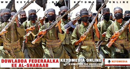 Dowladda Federaalka ee Al-Shabaab