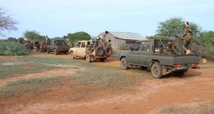 Hundreds of militants killed in ops by Somali forces