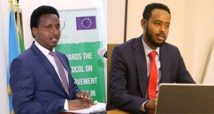 Somali cabinet sacks head of immigration department