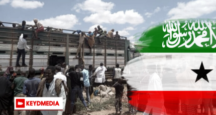 UN: 7,250 people forcibly expelled from Somaliland in 15 days