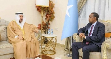 Somali PM meets with UAE diplomat amid strained ties