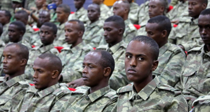 UN confirms Somali troops involved in Tigray conflict