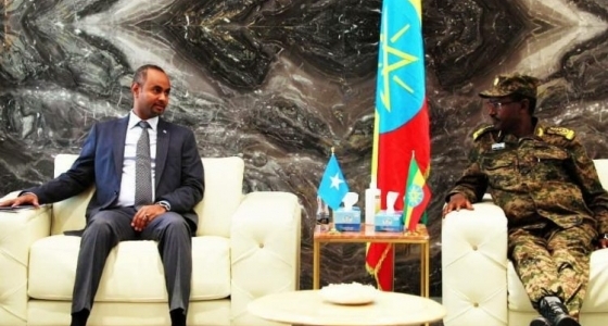 Somalia, Ethiopia discuss fight against Al-Shabaab