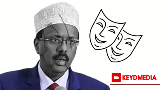 Farmaajo: We Have No One Else to Blame