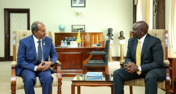 Somali president, Ruto discuss Miraa and fish trade